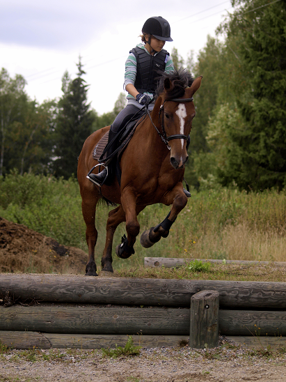 Victor poni maastoesteillä Husössä