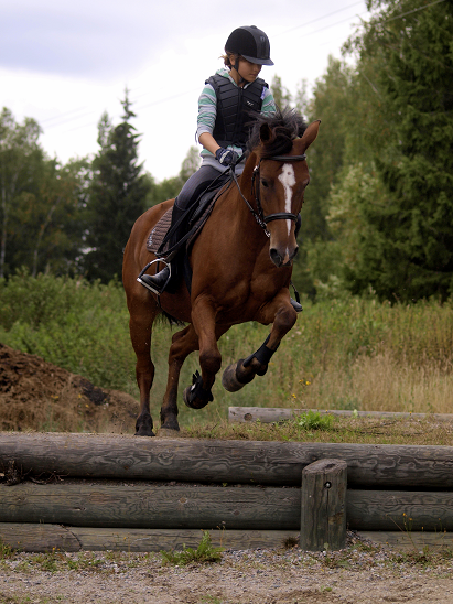 Victor poni maastoesteillä Husössä 