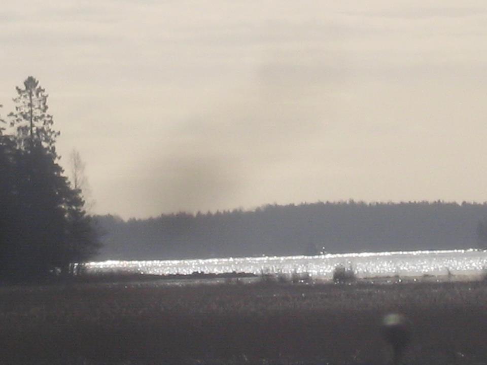 Husön Ratsastuskeskus sijaitsee meren äärellä