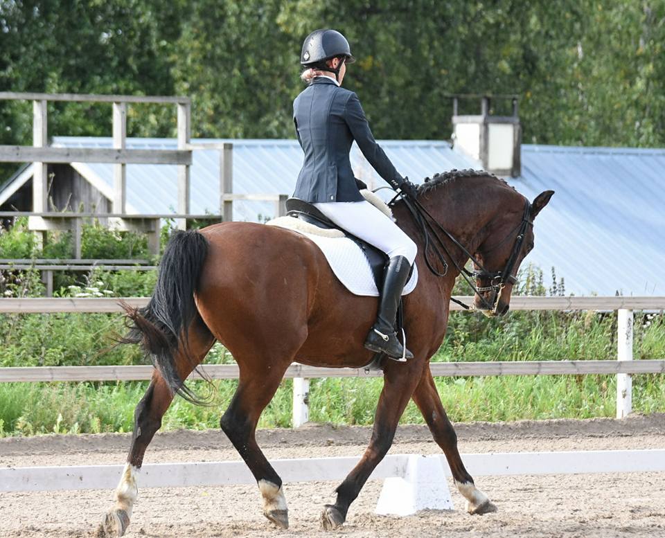 Husön ratsastuskoulun hevonen ja ratsastaja kouluratsastuskilpailuissa.