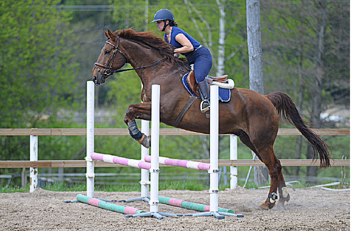 Uudellamaalla Helsingissä ratsastuskoulussa hevonen ja ratsastaja on estetunnilla.